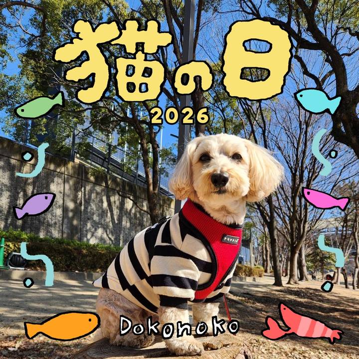 18923e8e a73d 4d01 8812 6a6b479054f2 1771721158611