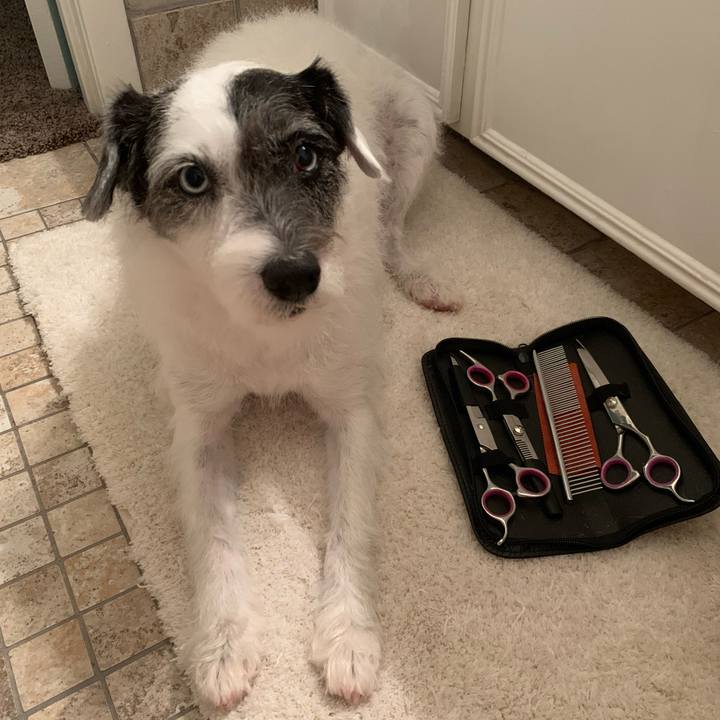 1892884e 8b52 4dca b93c 4d8e8daa1c78 1593641292804