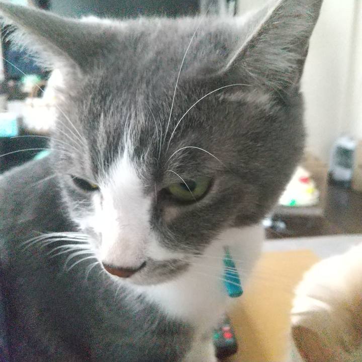 1892a76b 9696 4d97 a1c0 a6e896142024 1624067866393