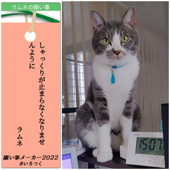 1892bad8 410b 430d a97e 5bdd6fdca106 1657169773373