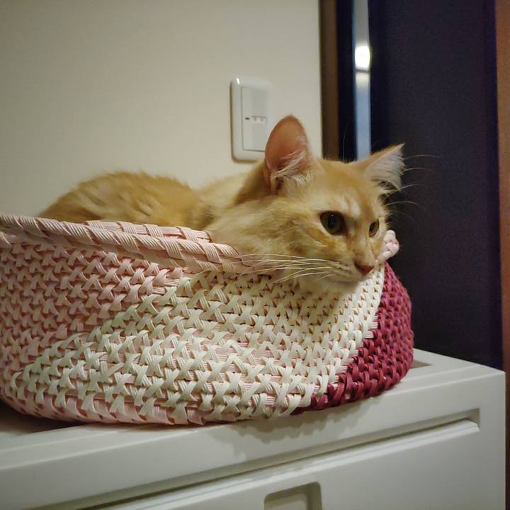 1892e88d 2adf 4676 865c cc5aadbc77bb 1695562527486