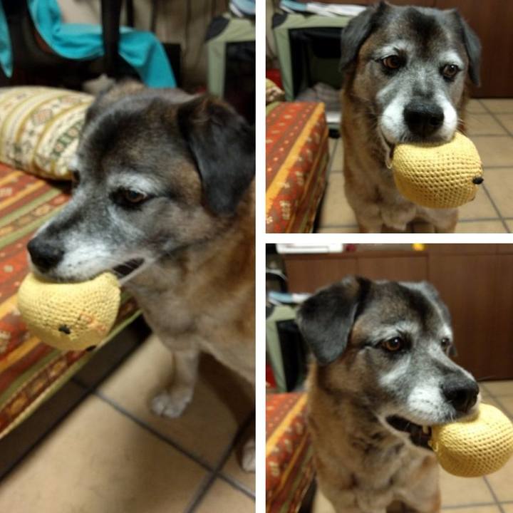 1892f029 c528 45f0 a8a9 91a0804ca363 1521412792848