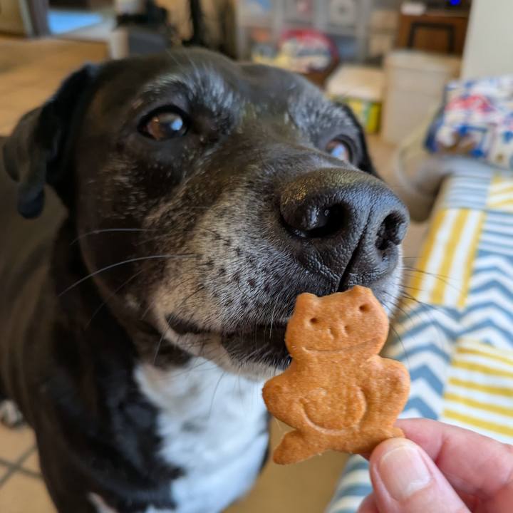 1893268e 9292 4dca bbc9 6b72f39fe88a 1745974833207