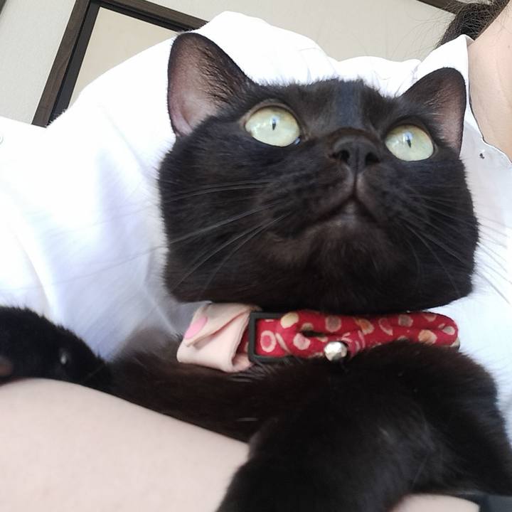 18934e47 b182 4dd1 a0e9 6be7c7c73ba2 1669329610115