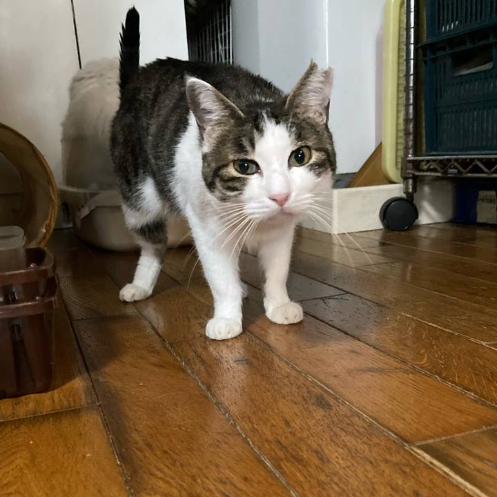 18936051 5752 4566 b666 73ffb758cb16 1749042828564