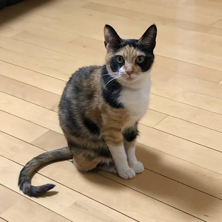 1893a1c3 a0f0 4d82 8842 8c25ae3504bd 1576505707497