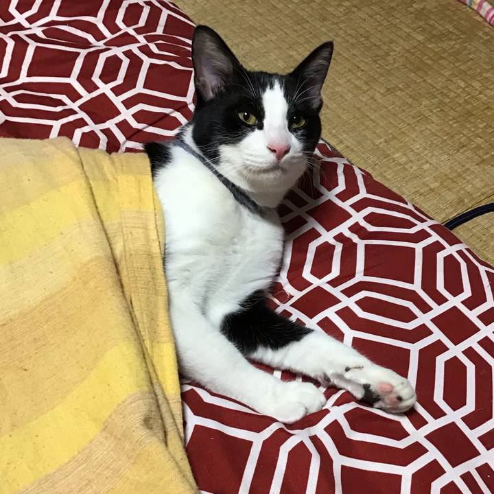 1893fc30 a9de 42aa b531 9e99f8e22f48 1638350978470