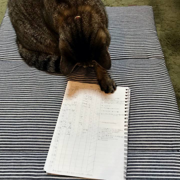 18940acc 45bd 496e b383 56c3115b141b 1607125469661