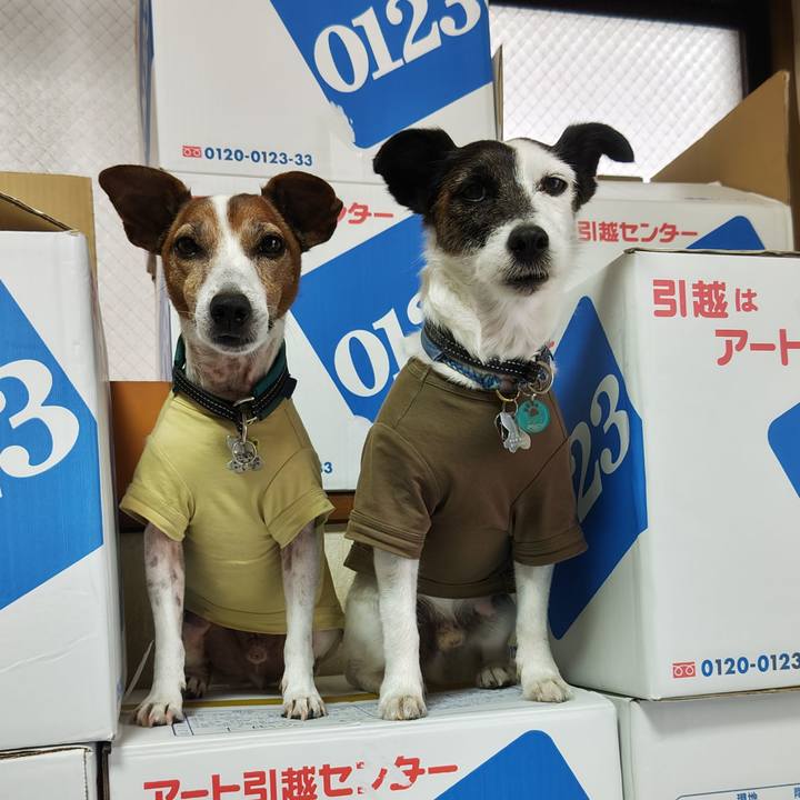 18940c03 ec17 4846 ba22 b17c3a3ce459 1755031843692