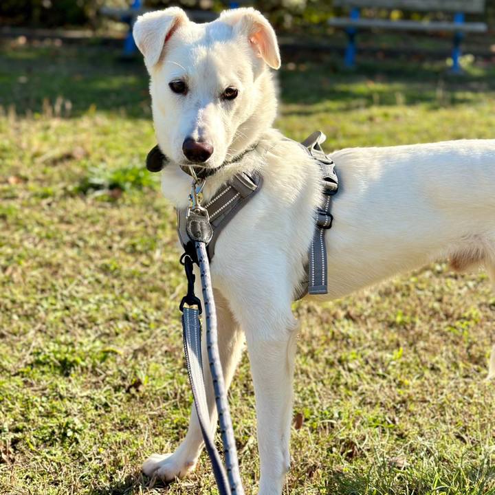 18944195 3752 47fa acb1 b953912bac2f 1674319851371