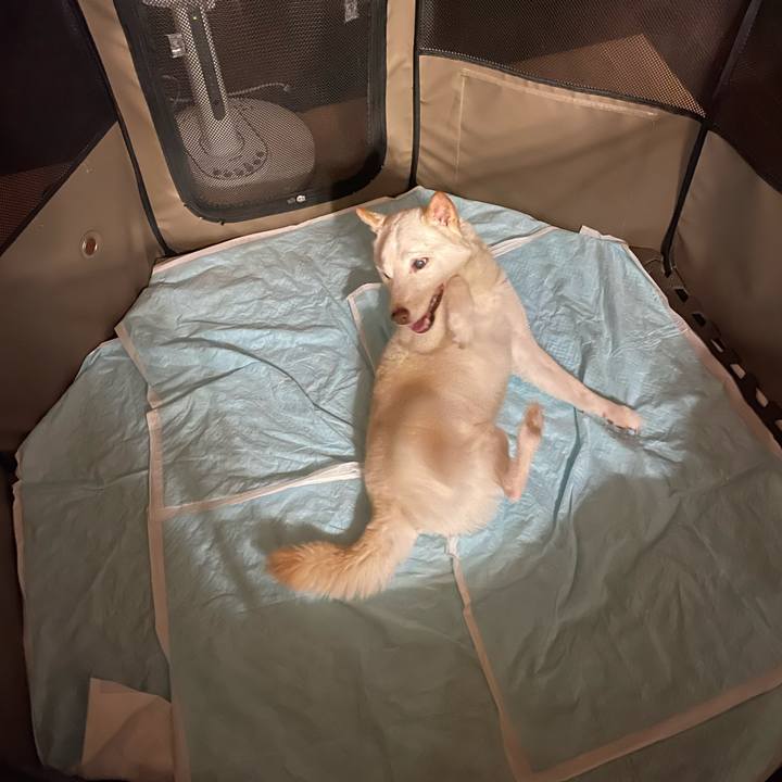 189452b5 c502 4d6d b51d a8272c5a2f47 1659810247759