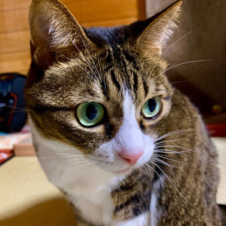 18946f43 ef54 4062 a5a0 c1f88dfcf183 1607171146493