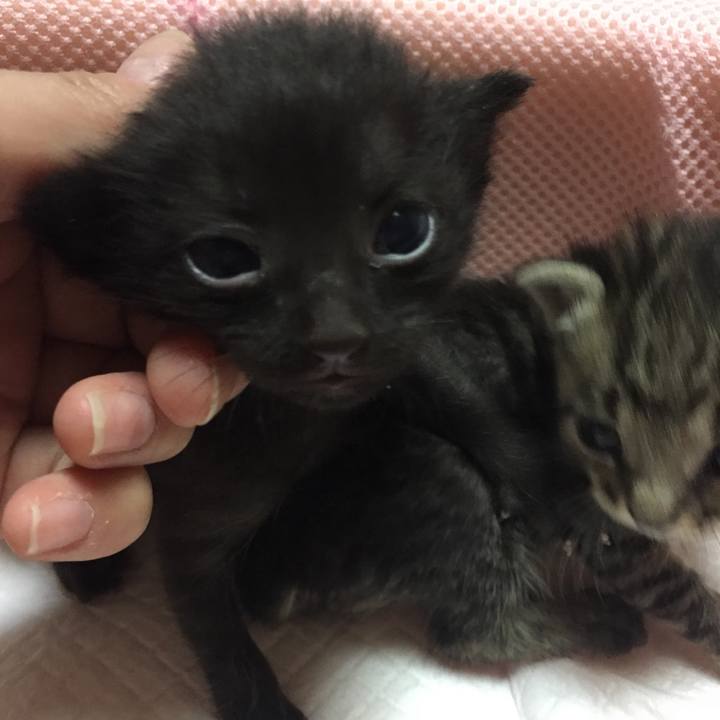 18947386 cc04 4b5c 8087 ca4fe46361fe 1531960730555