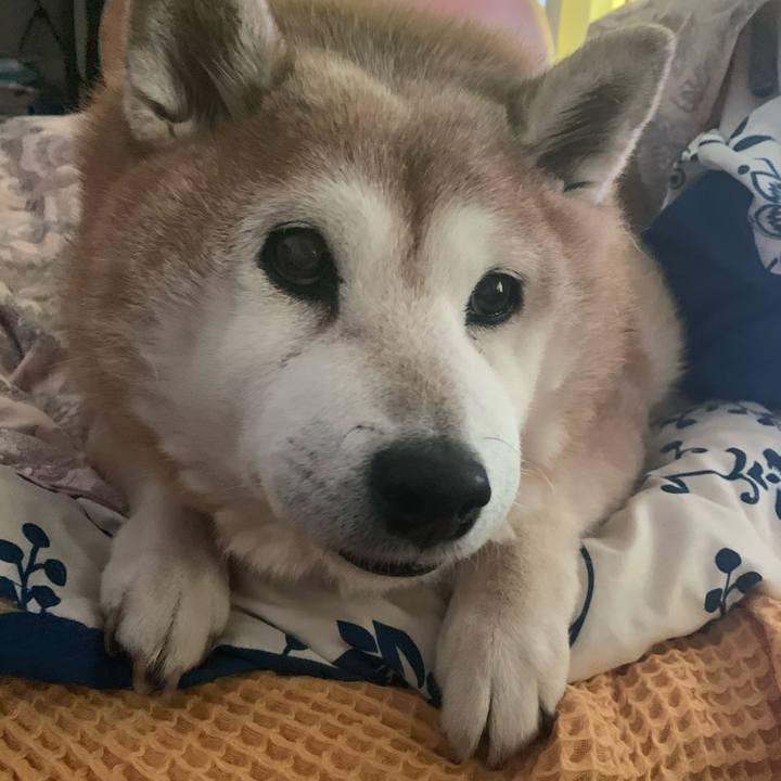 1894a2e2 7ff9 4b65 96d7 35c7af7ab2df 1612667904104