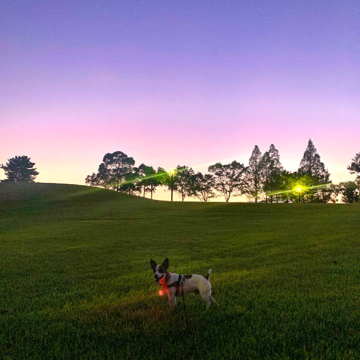 1894c7e4 83d1 4f5a 912f 0be43b85d7a9 1568024364830