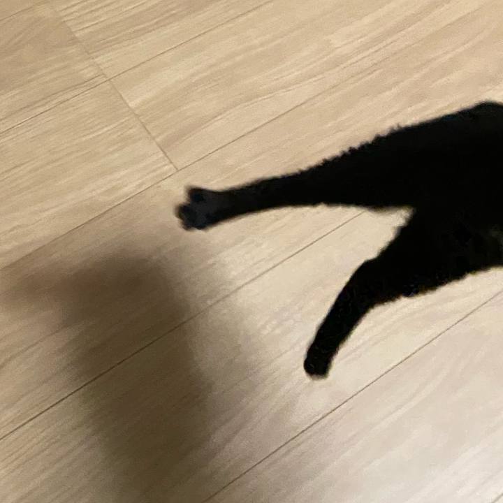 1894d0f6 e15d 4d74 859f f47187fbb668 1624101220448