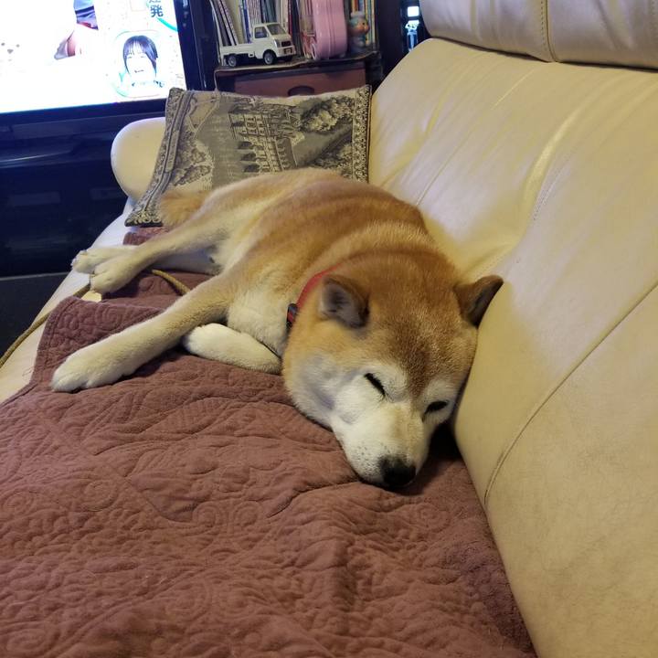 1894fbdf 228c 4935 9962 053c71a0b482 1716590014764