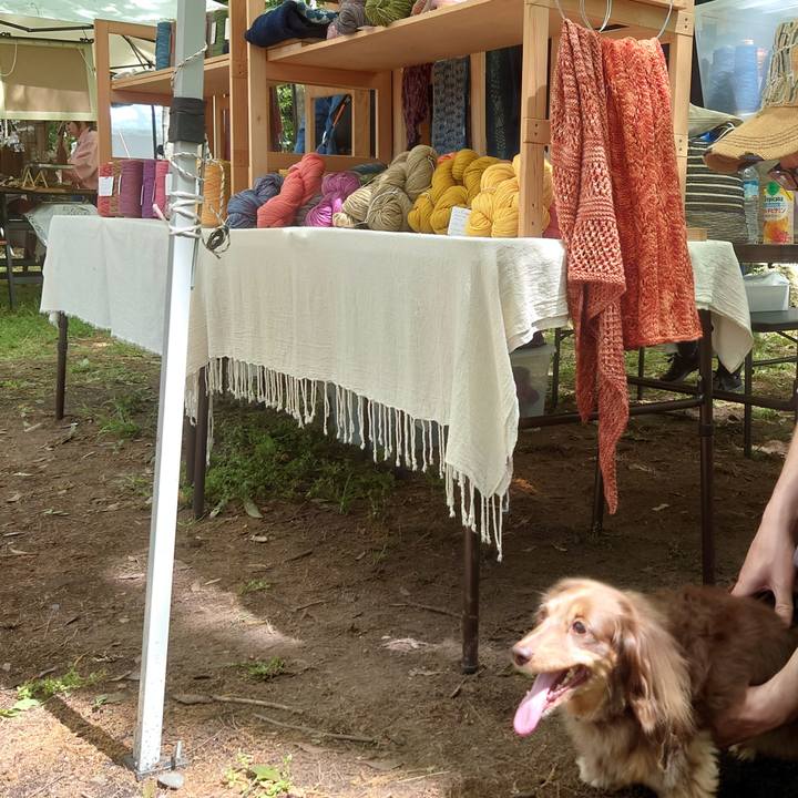 189535a9 9b2d 4563 b80e e8208d3989cf 1681620073393