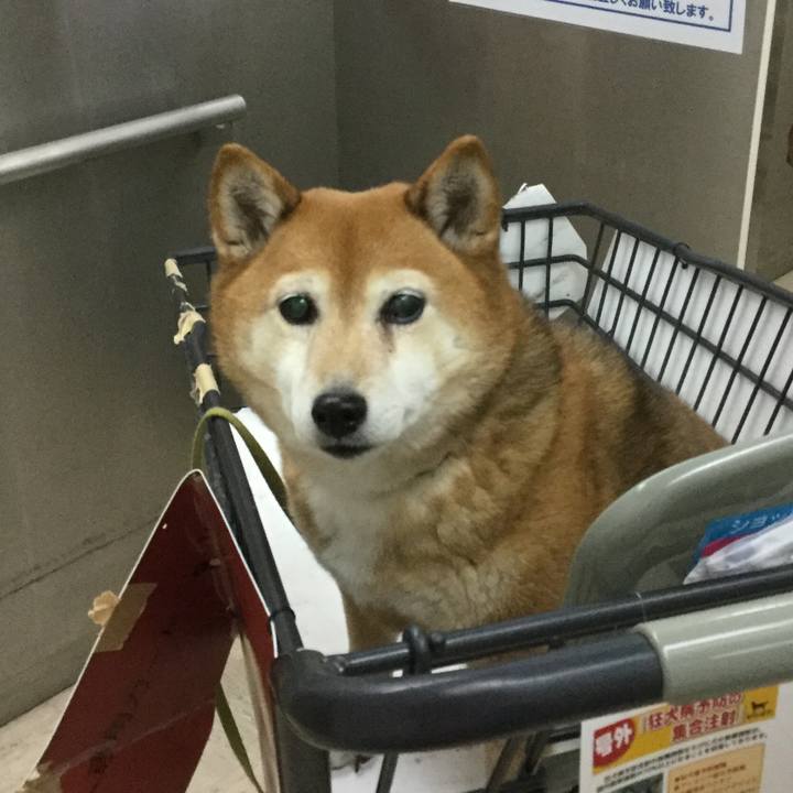 18954502 9289 4502 a080 634002edec16 1620875733915