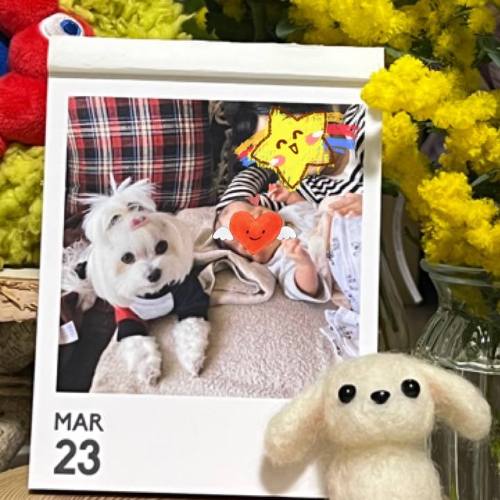 18954820 d126 4212 aebd 963079ef7330 1774328427434