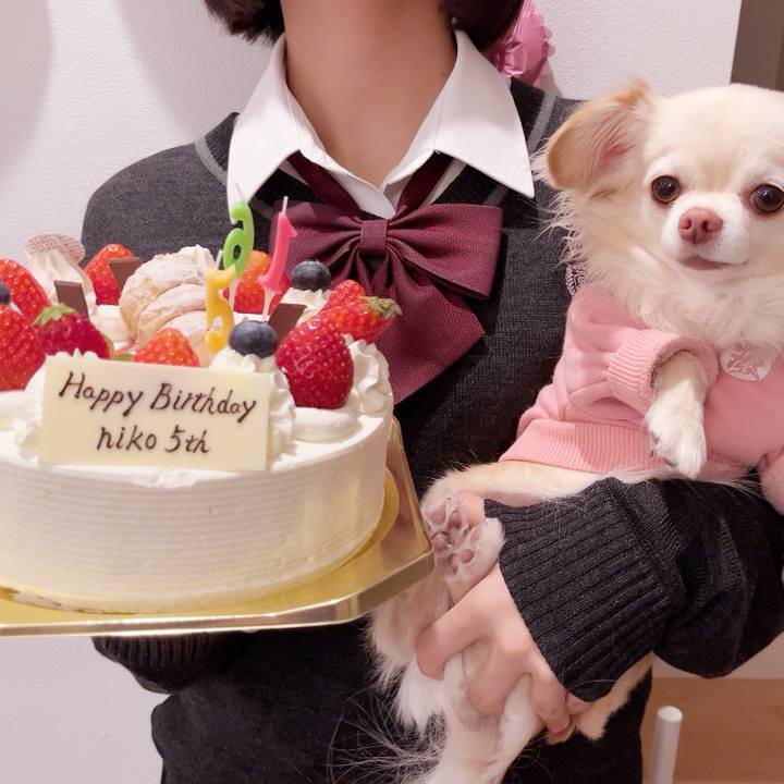 1895853c 10d7 4d10 b529 d05501e869ba 1738157960125