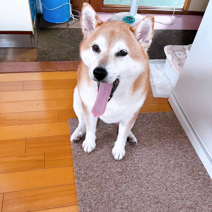 1895a32f 24e1 4fdd a9d0 336b596fc83a 1695268713426