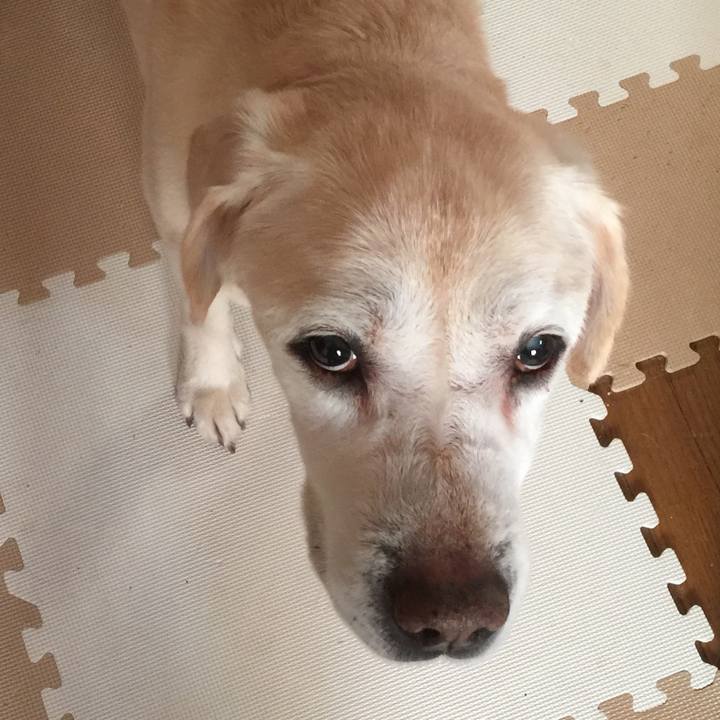 1895a3ab 95e7 40e5 a4fa 8d824e9eb942 1547376884142