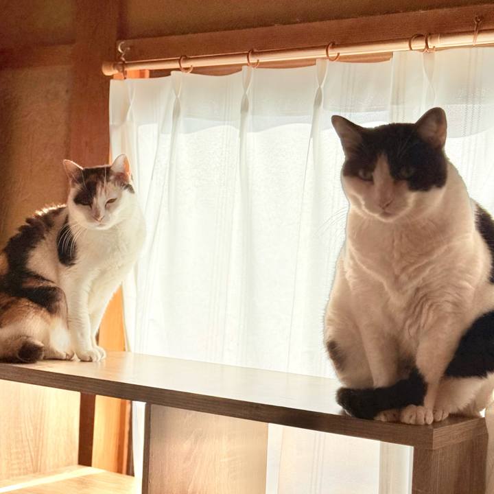 1895aa63 c0cf 40fd a65e 232abf63473f 1768534085413