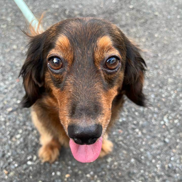 1895c34d cd6b 40a2 9475 886a2e1fb1ed 1690975840265