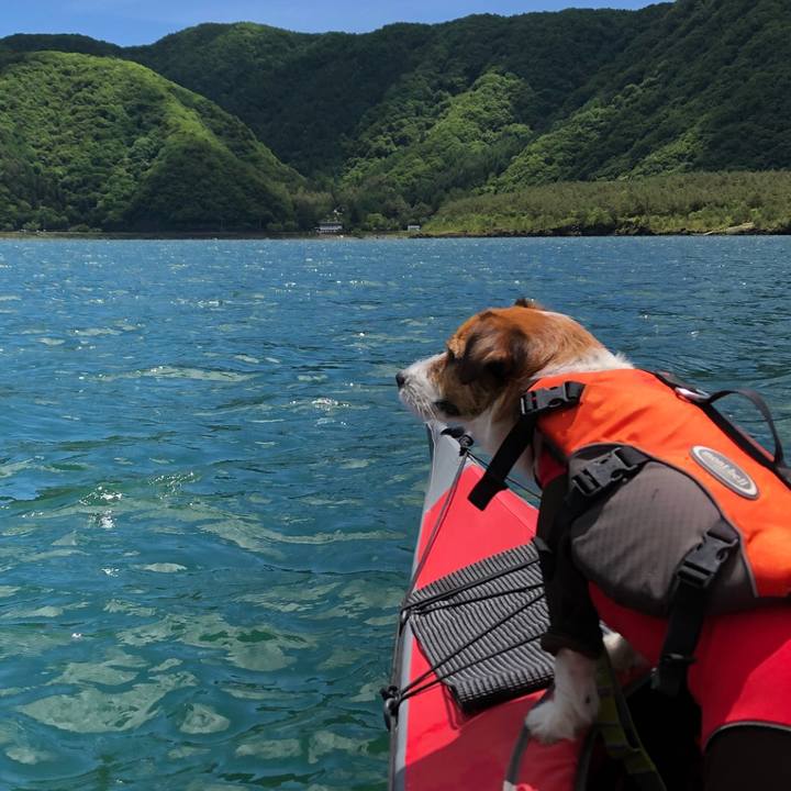 1895fbc6 9169 4394 a5f0 339507277867 1526900414337