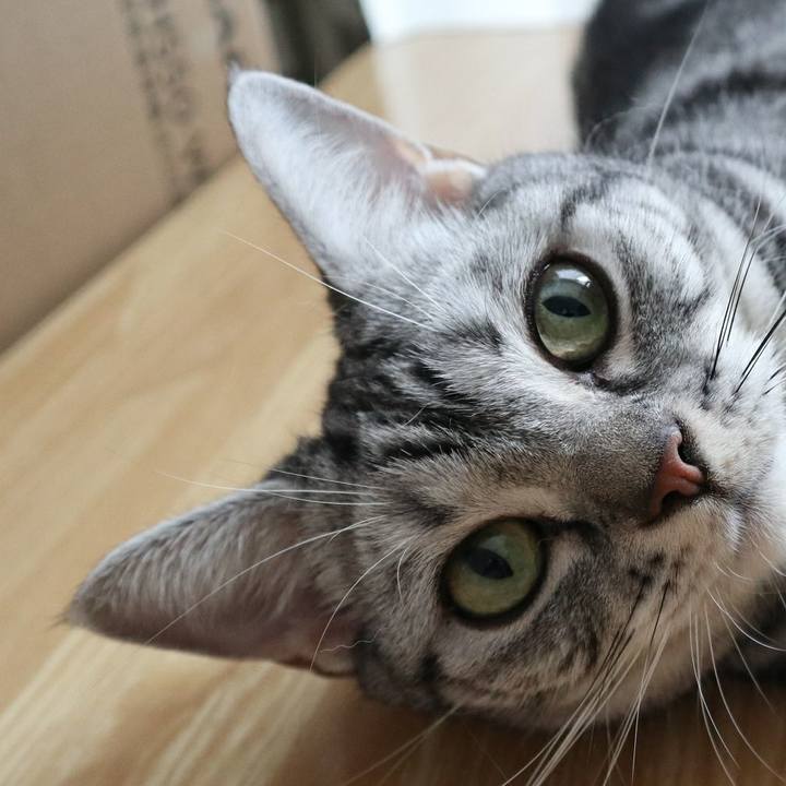 1896205d 0b02 47f9 b5b7 73447aa8ef79 1597450874141