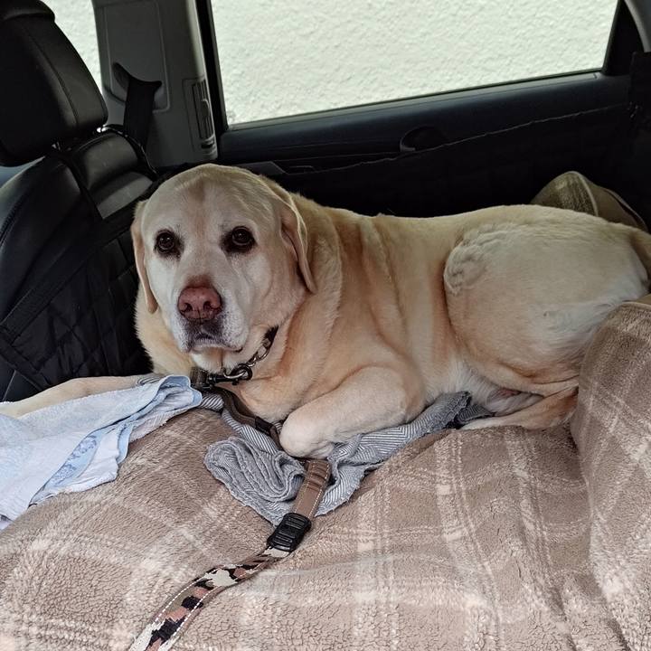 18962ac5 db4e 4a0f 8387 368debbcc027 1772596145332