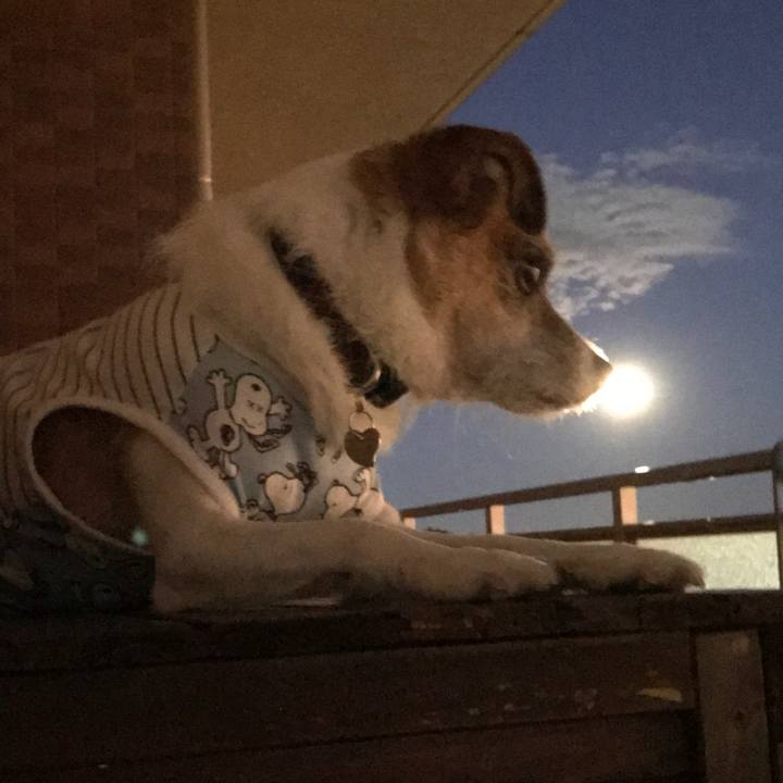 189644cc 6c75 48d8 9b92 81e56ddc479b 1570957226885