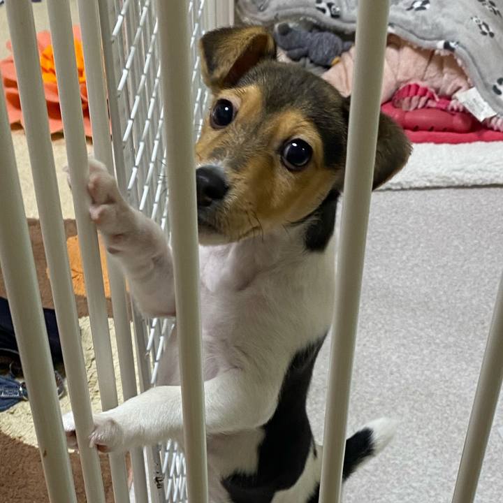 189653df 3f22 4809 b5a8 6df2925cf725 1742738656702