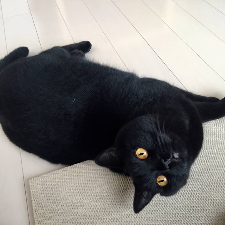 18966cf8 f51c 4ee2 8dab 00ea5205bf60 1536368083168