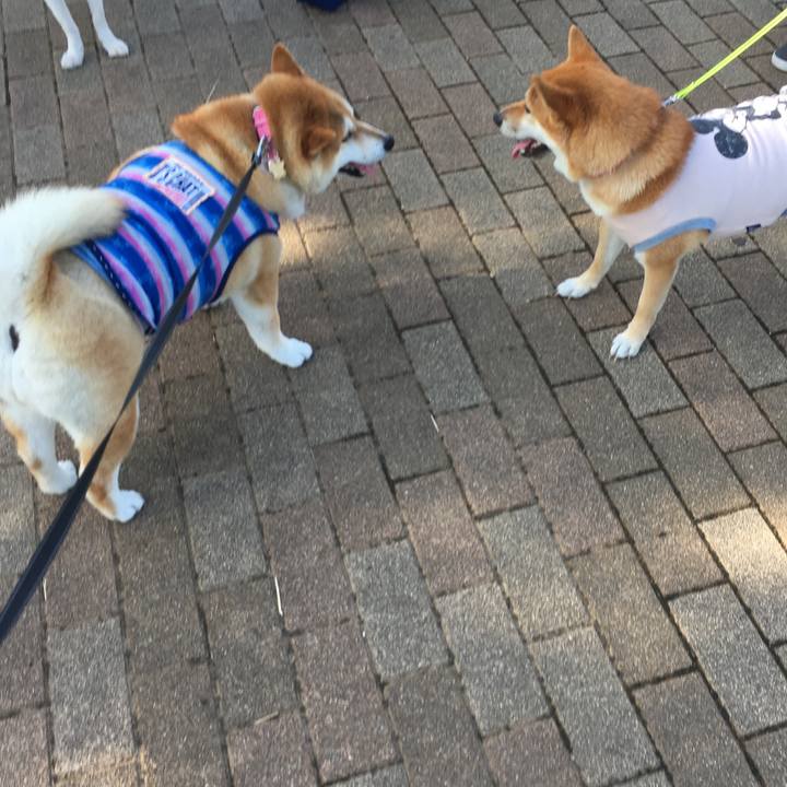 18968693 fe14 42bb ac57 743c26ce77cc 1569370908942