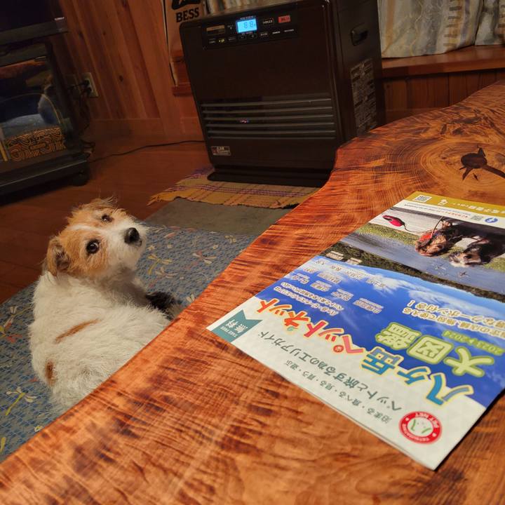 1896c815 31bf 40b7 9e9d c945293c58fe 1700730550278