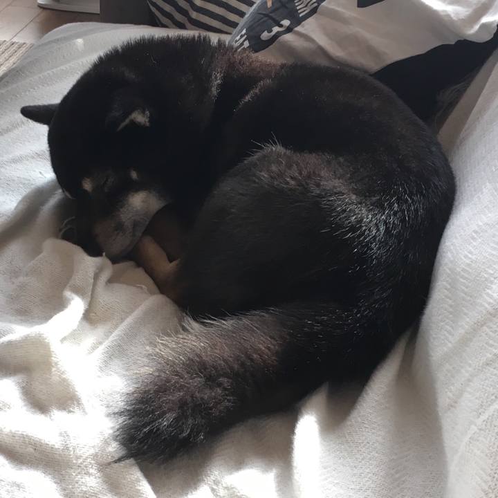 1896f579 5bff 44dc 8e05 0bb4b025770c 1519277209285