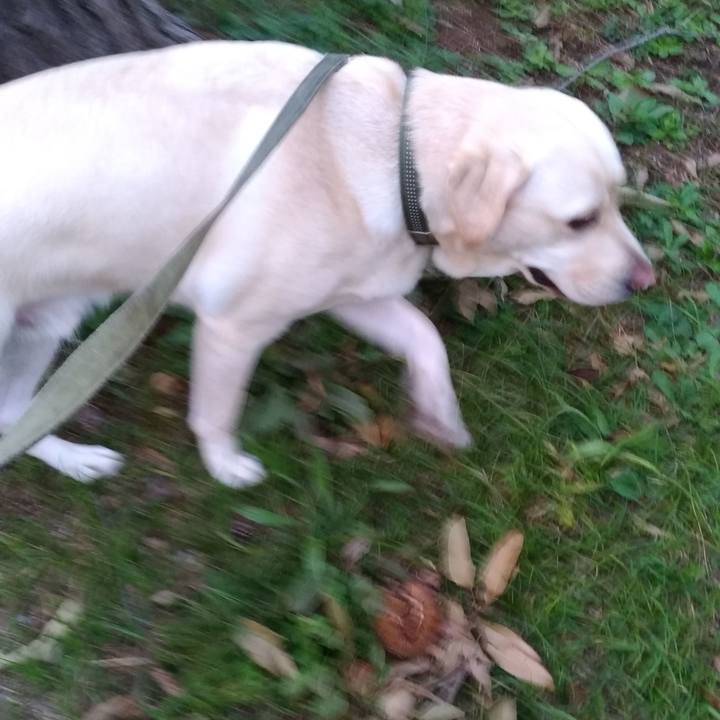 1897076b 12c2 4320 a5a9 30e47a284b65 1538565691074