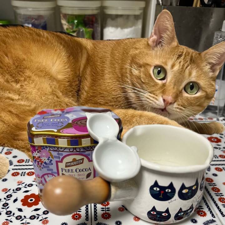 1897284b 137c 4a8f ad7e 402ae1d2b2ce 1670021502378