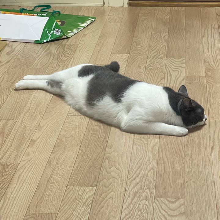 18974624 618b 41c5 9a1f 0eb935271b3d 1658789666025