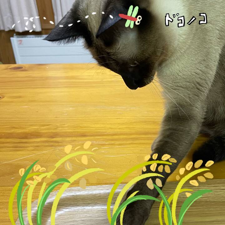 189763fa 9b9d 4f7c 9498 87f497f5fa6a 1761423646117