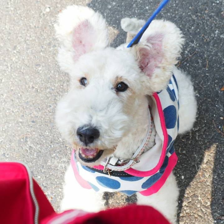 18978bec 921b 4af6 b8a4 3d8e84f30b47 1519617836939