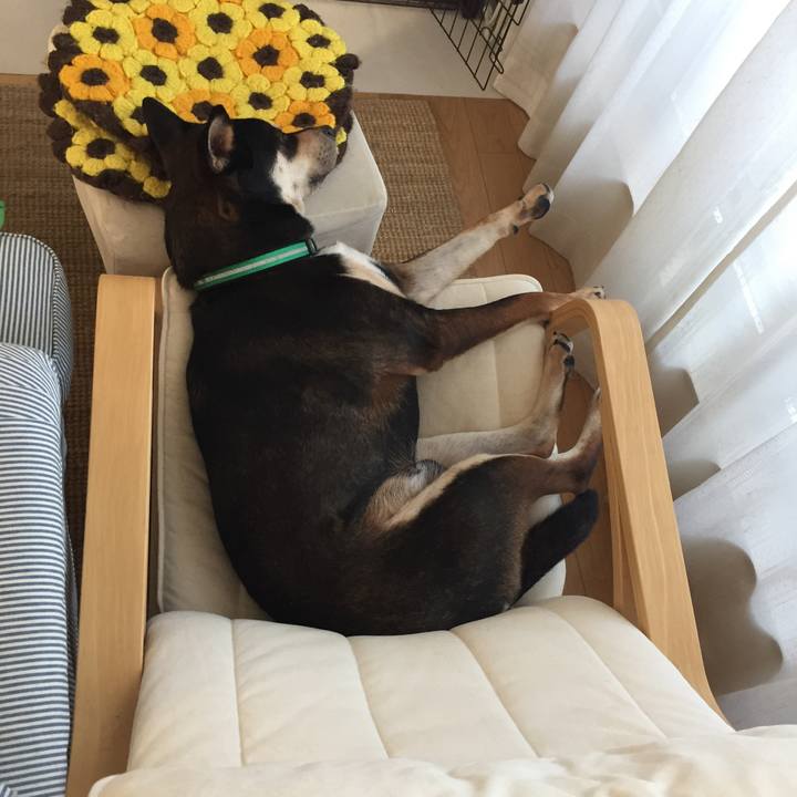 1897a610 2dd9 4566 8def 4dccd2374c65 1531293455382