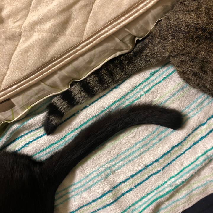 1897b649 fa66 4439 811e fa73fc987502 1572615124507