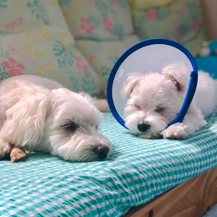 1897be59 a939 4ab9 9131 71655cb97b75 1526949577154