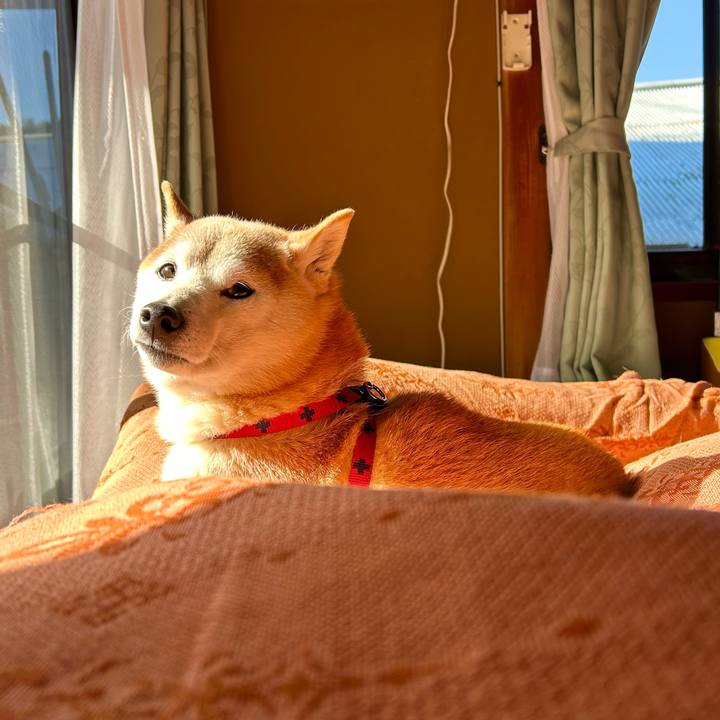 1897fed7 7cd8 4b93 8ba4 4171c2db3754 1738314043962