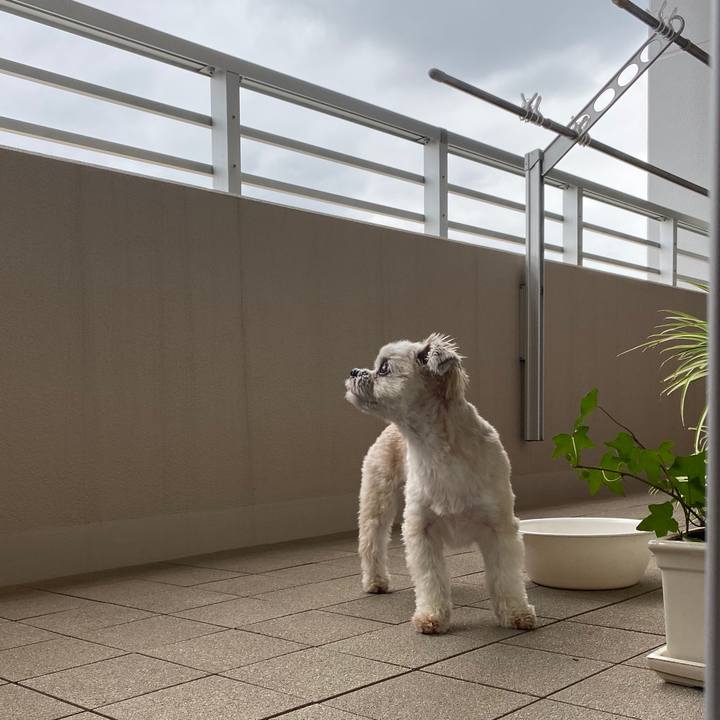 18980c91 b8b6 4967 8592 da08449422a5 1569136927210