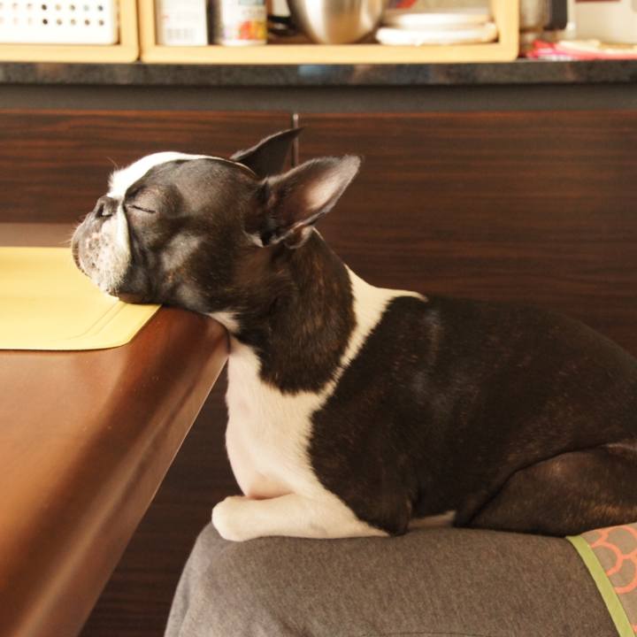 18981ff0 5ac4 4f70 b47d 8ff861f126e9 1568813989578