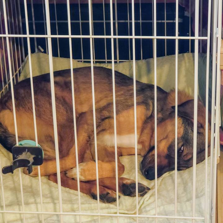 189829e0 0e37 411a 8454 025b3f439bb9 1711944793471